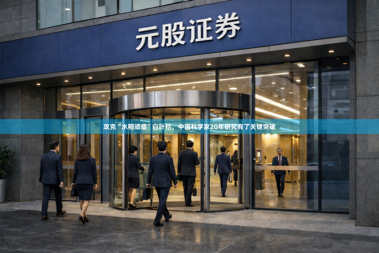 攻克“水稻顽症”白叶枯，中国科学家20年研究有了关键突破